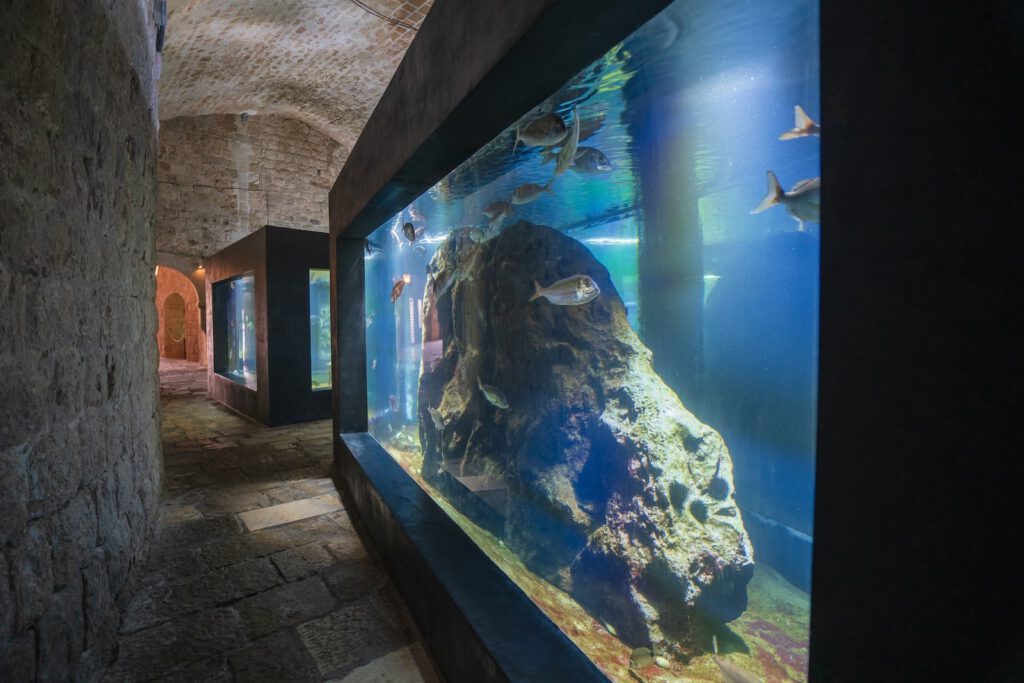 akvarij dubrovnik 3-min